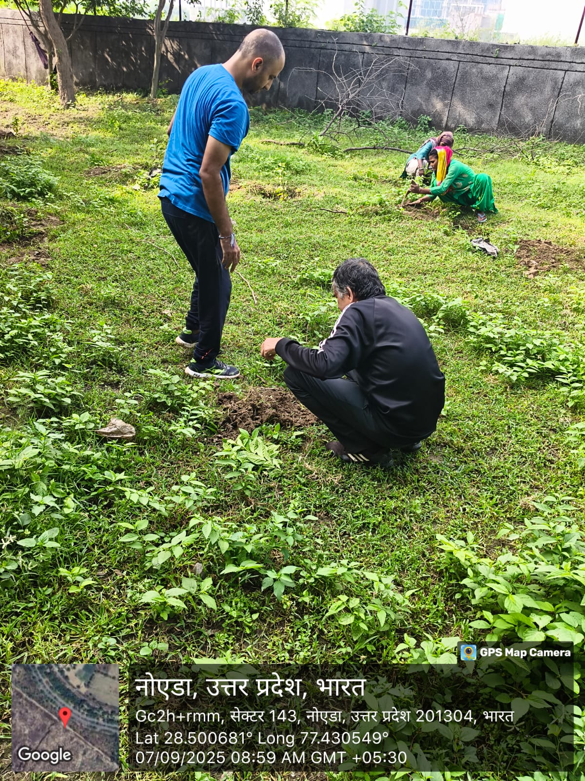 Plantation Drive