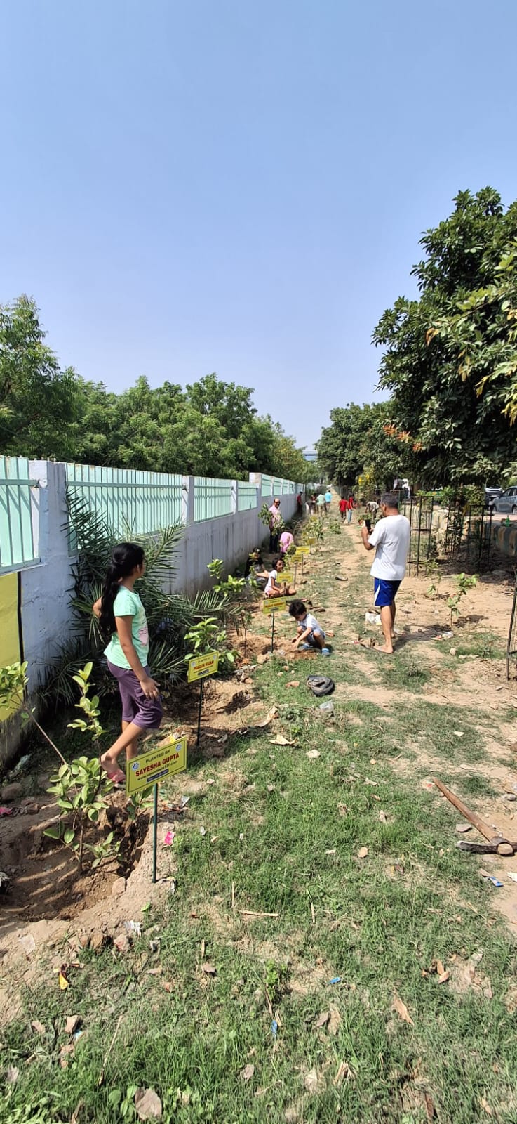 Kids Plantation Drive