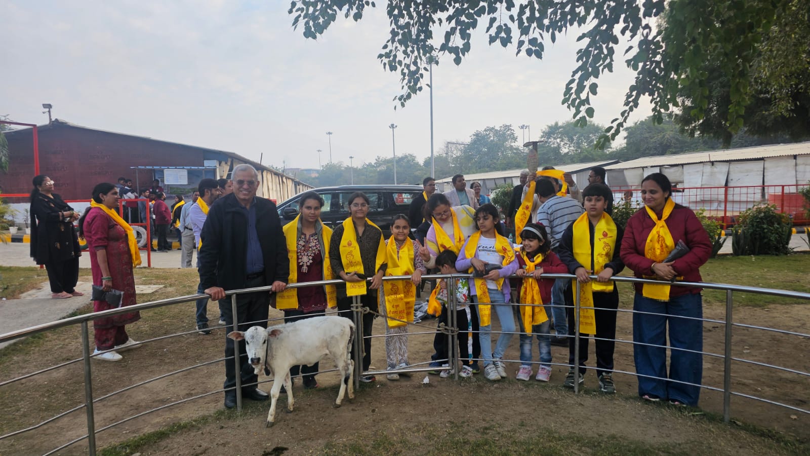 Visit to Noida's cow shelter at sector 14B
