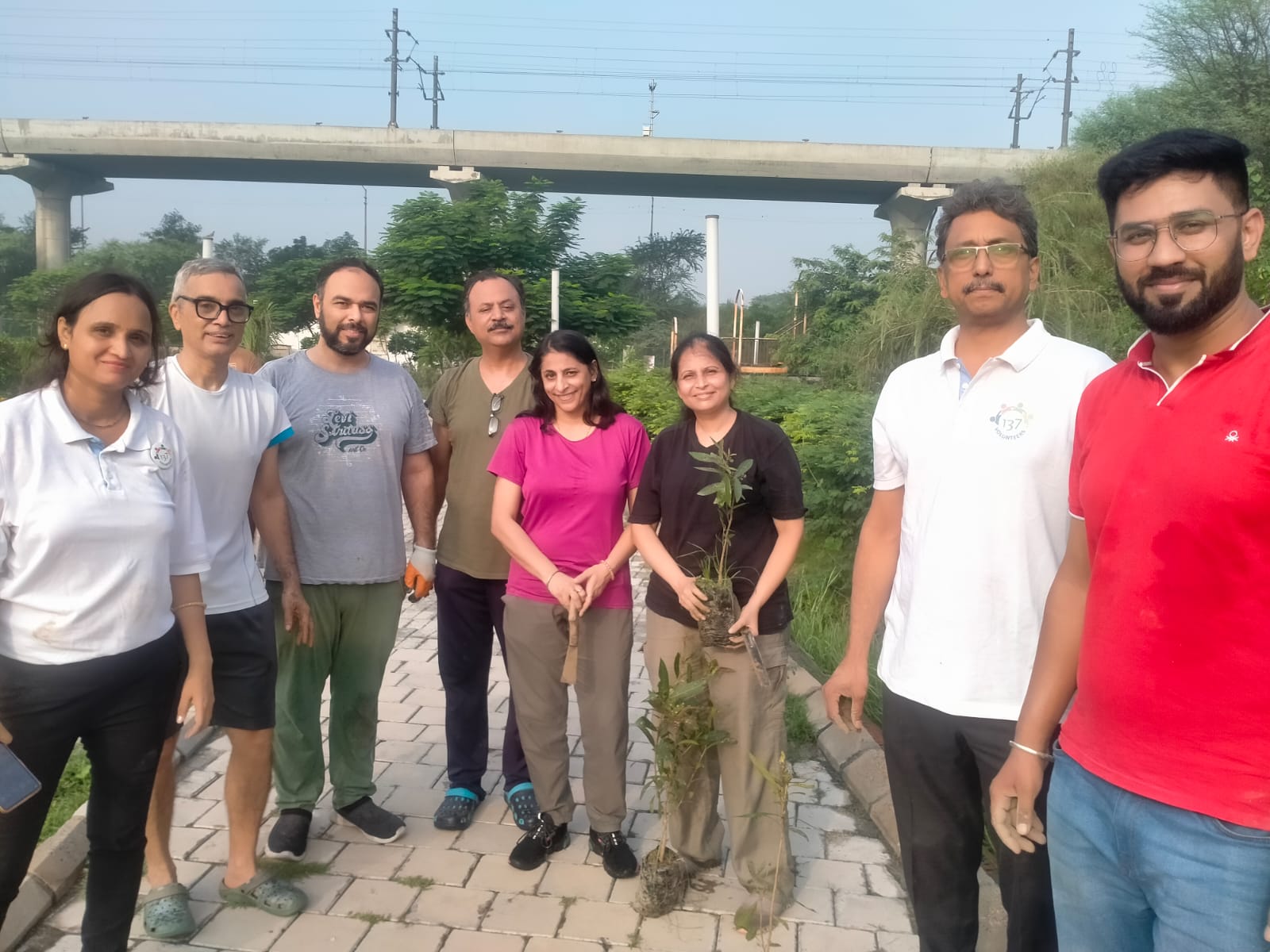Plantation drive