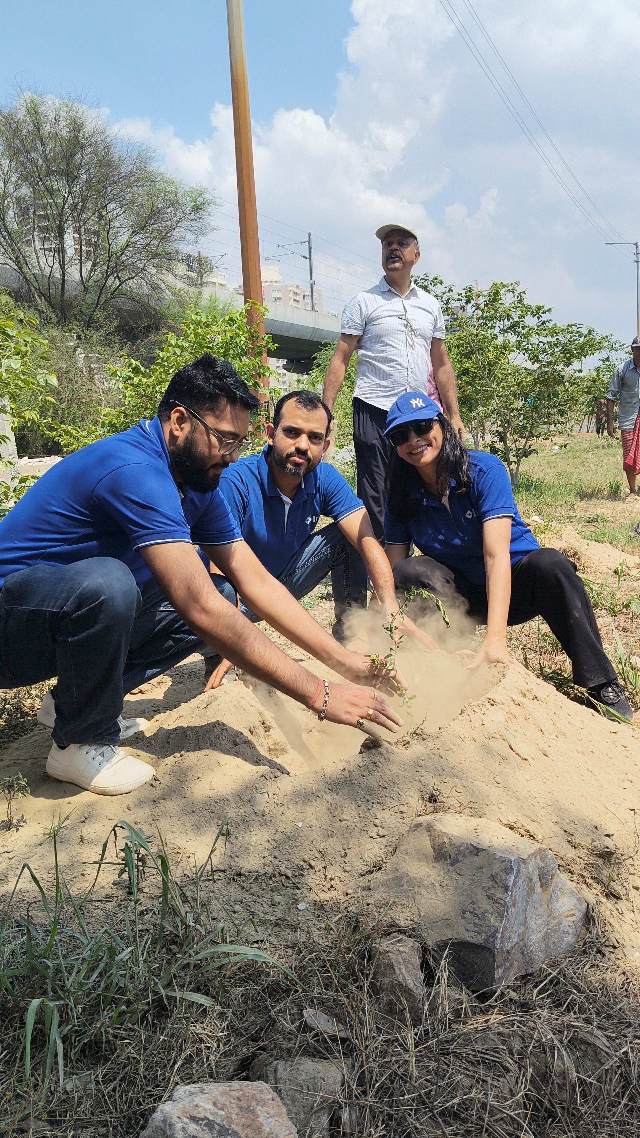 Plantation Drive