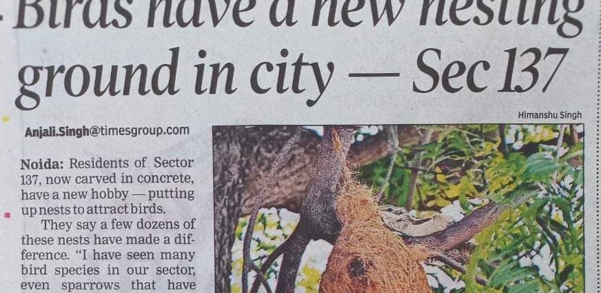 Birds have a new nesting ground in Noida — Sector 137