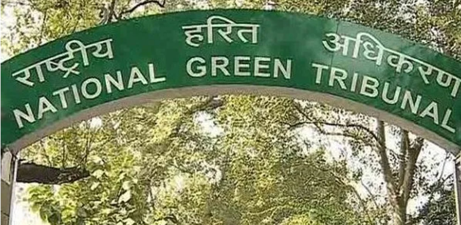 Pollution in Yamuna: NGT dismisses NOIDA, DJB review petitions against compensation imposed
