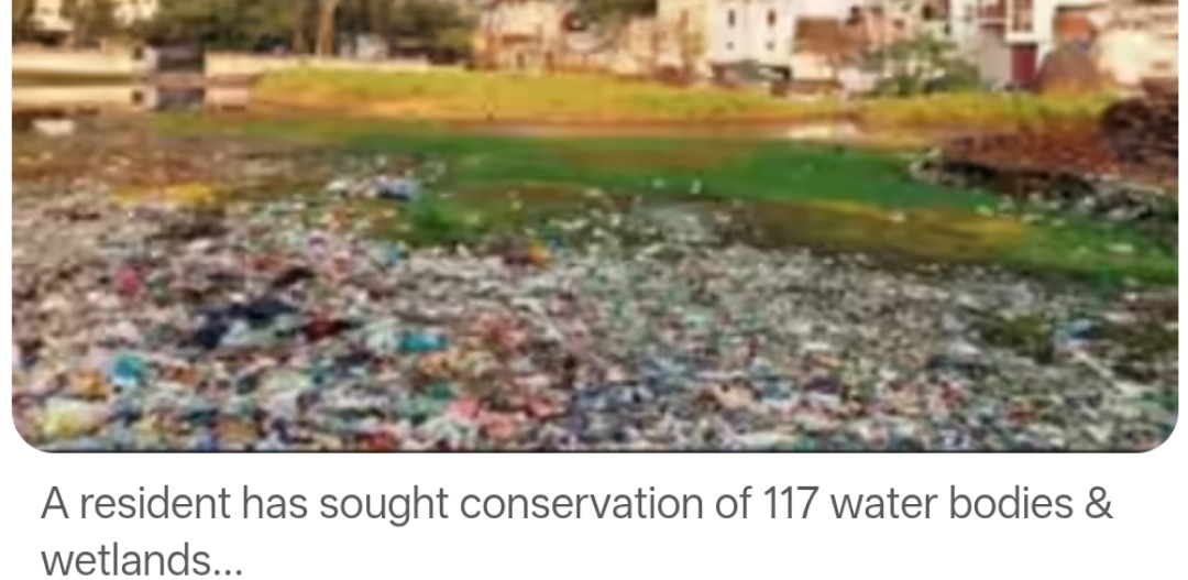 Noida: NGT sets up panel to curb wetland encroachments in Gautambudhnagar