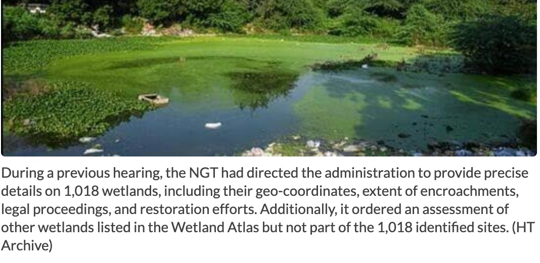 Efforts on to reclaim all wetlands, GB Nagar admin tells NGT