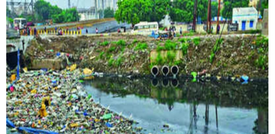  SC amicus proposes nodal agency, inter-state action plan to clean Yamuna