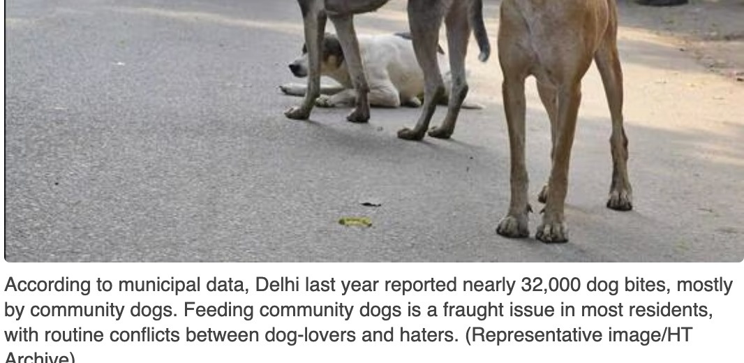 Supreme Court stays order on feeding community dogs