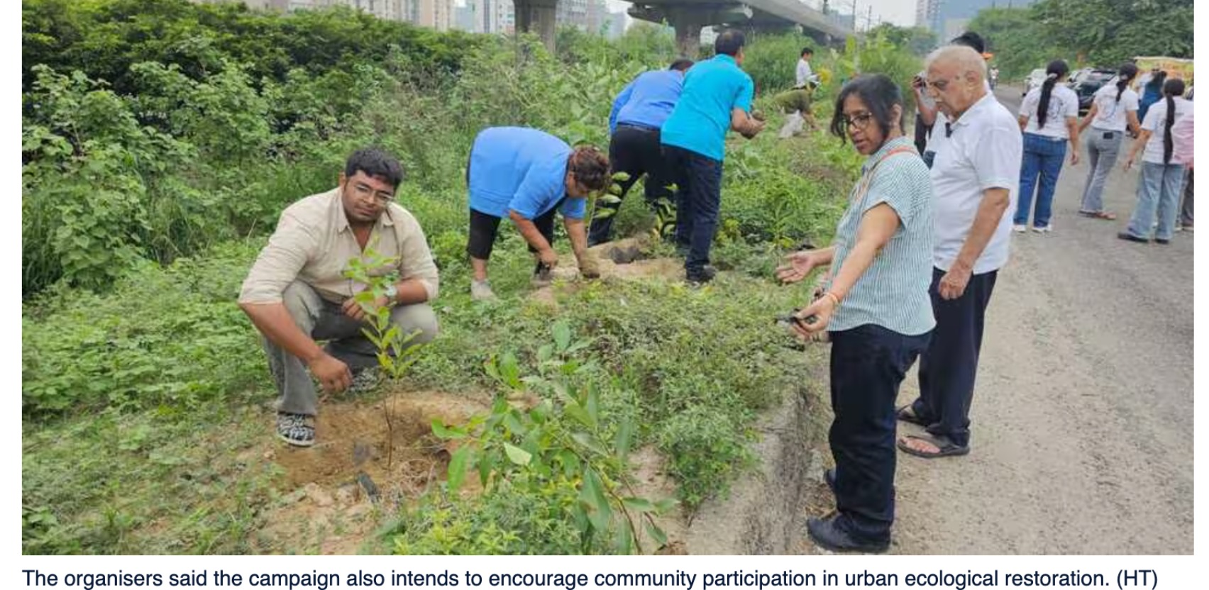 Volunteers launch week-long plantation drive along Noida drain