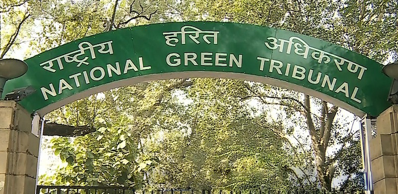 NGT notice to Union ministry, Punjab, HP, J&K, 25 districts over plea to free 5 rivers of pollution