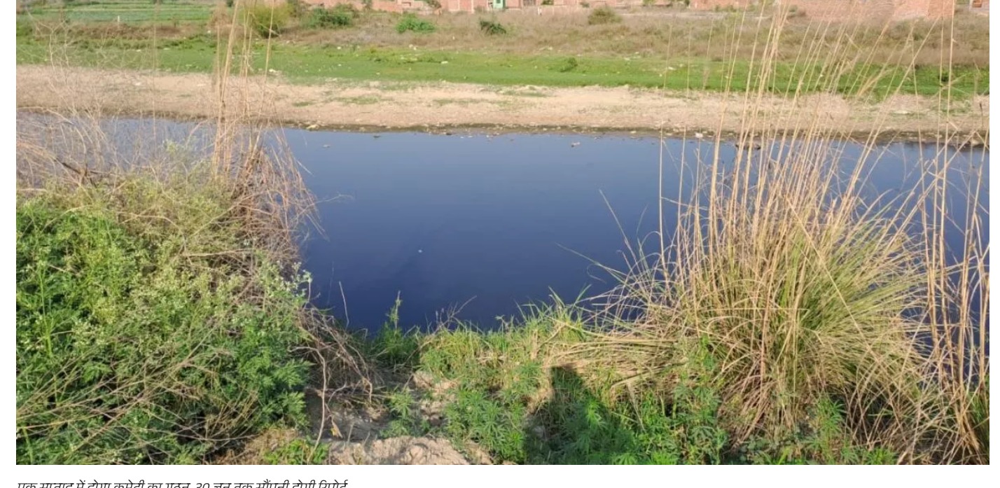 Noida: हिंडन नदी की स्थिति चिंताजनक, NGT का आदेश- मुख्य सचिव की अध्यक्षता में 1 सप्ताह में हो कमेटी का गठन