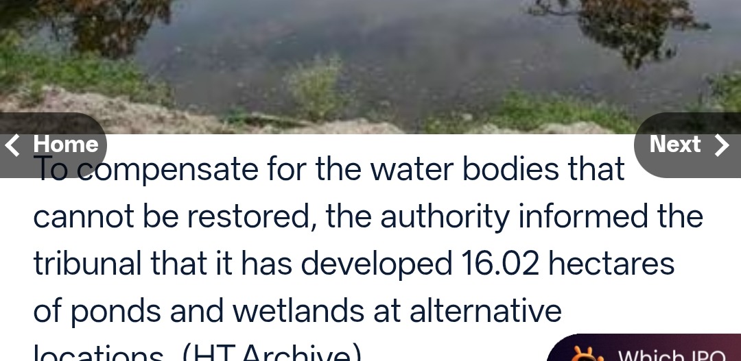 Over half of Noida’s water bodies beyond recovery: NGT told