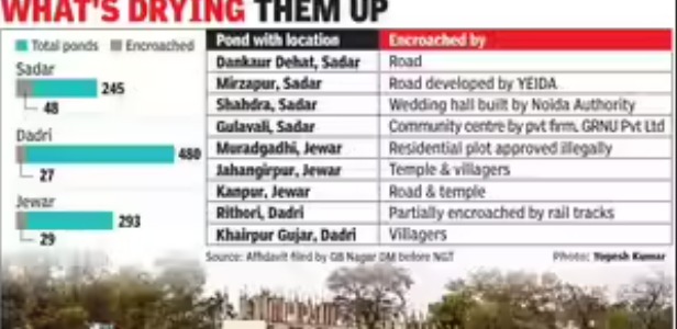  10% wetlands in Noida encroached, some by govt agencies: DM to NGT