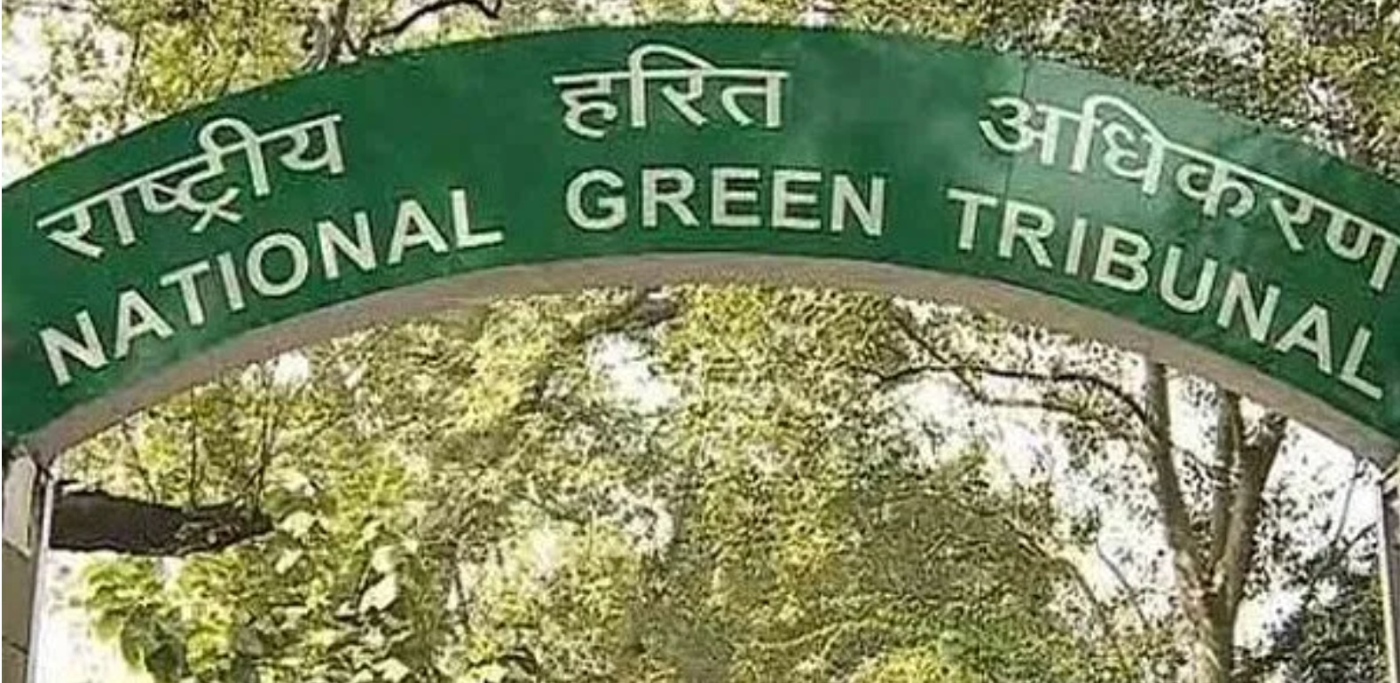 NGT justifies fine on DJB, Noida Authority over water pollution