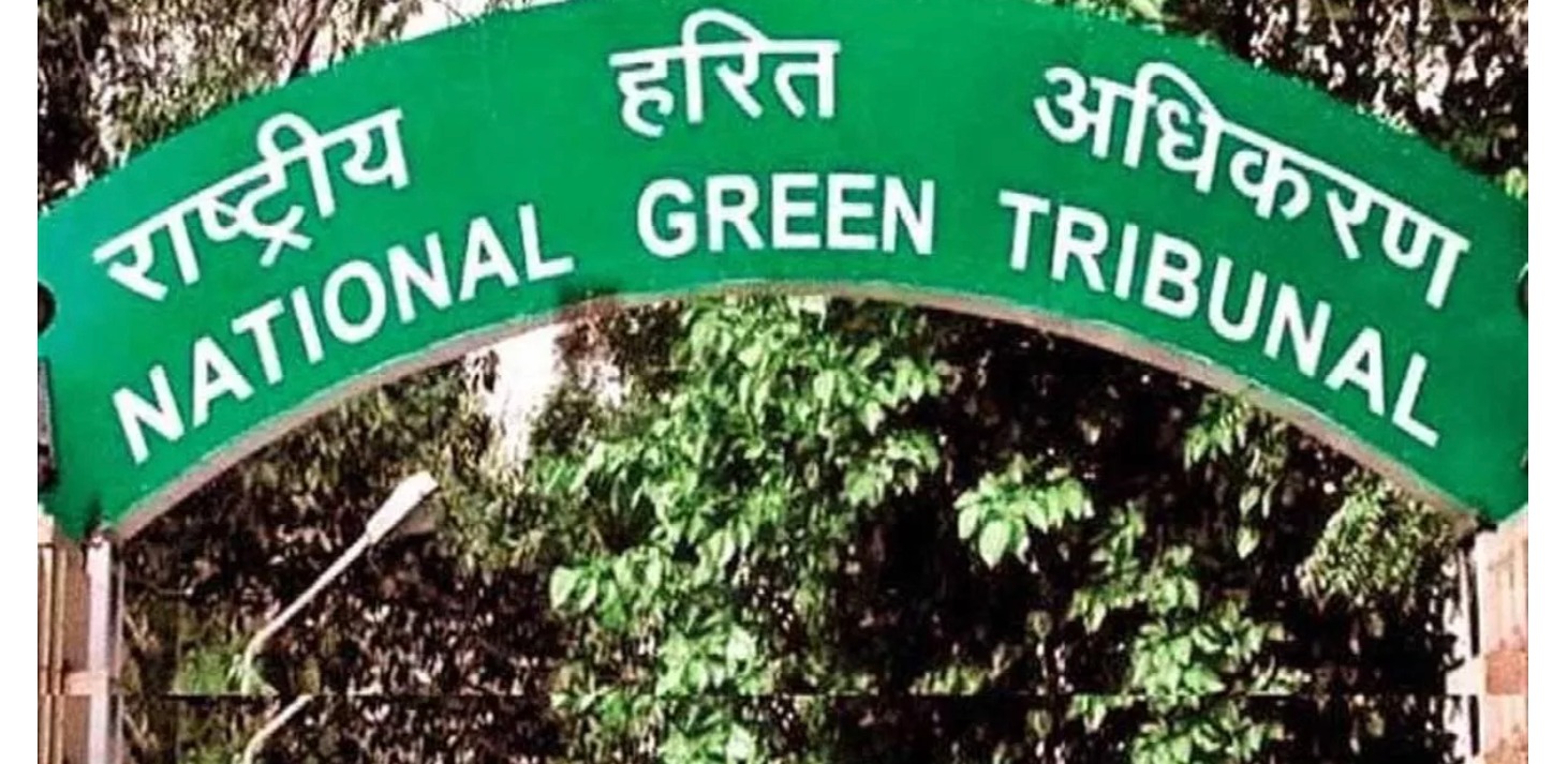 यमुना प्रदूषण पर एनजीटी की फटकार कहा- अधिकारी जन स्वास्थ्य की रक्षा के लिए है, न कि पद और लाभ के लिए