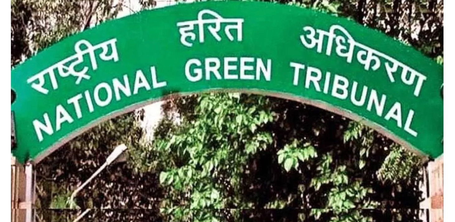 NCR के इस शहर से 'गायब' हुए 211 तालाब, DM ने NGT को सौंपी 