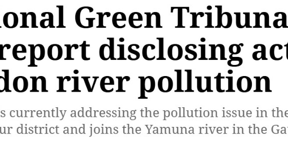 National Green Tribunal asks UP govt to file report disclosing action taken to tackle Hindon river pollution