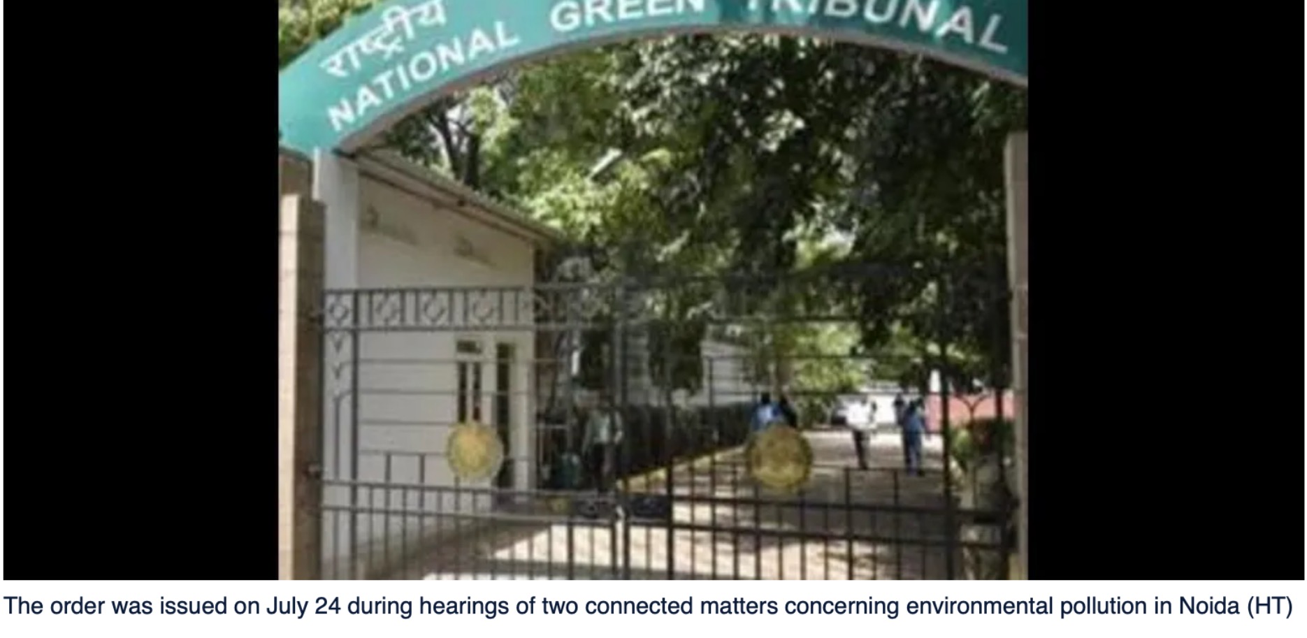 NGT seeks action over dumping of waste in wetlands in Noida