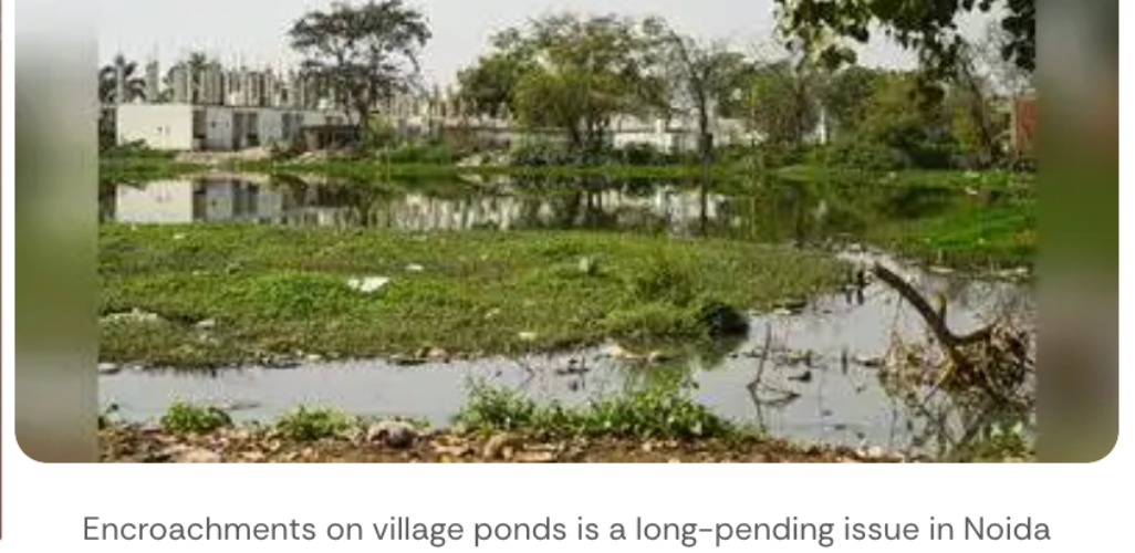 Who’ll protect ponds? NGT seeks answers