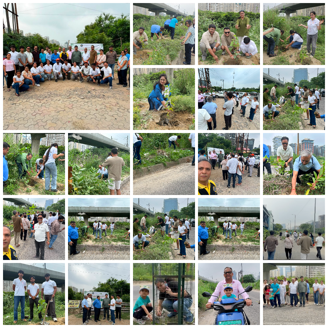 Lions Club Delhi Veg Launches Mega Environmental Protection Week with Mass Plantation Drive in Noida