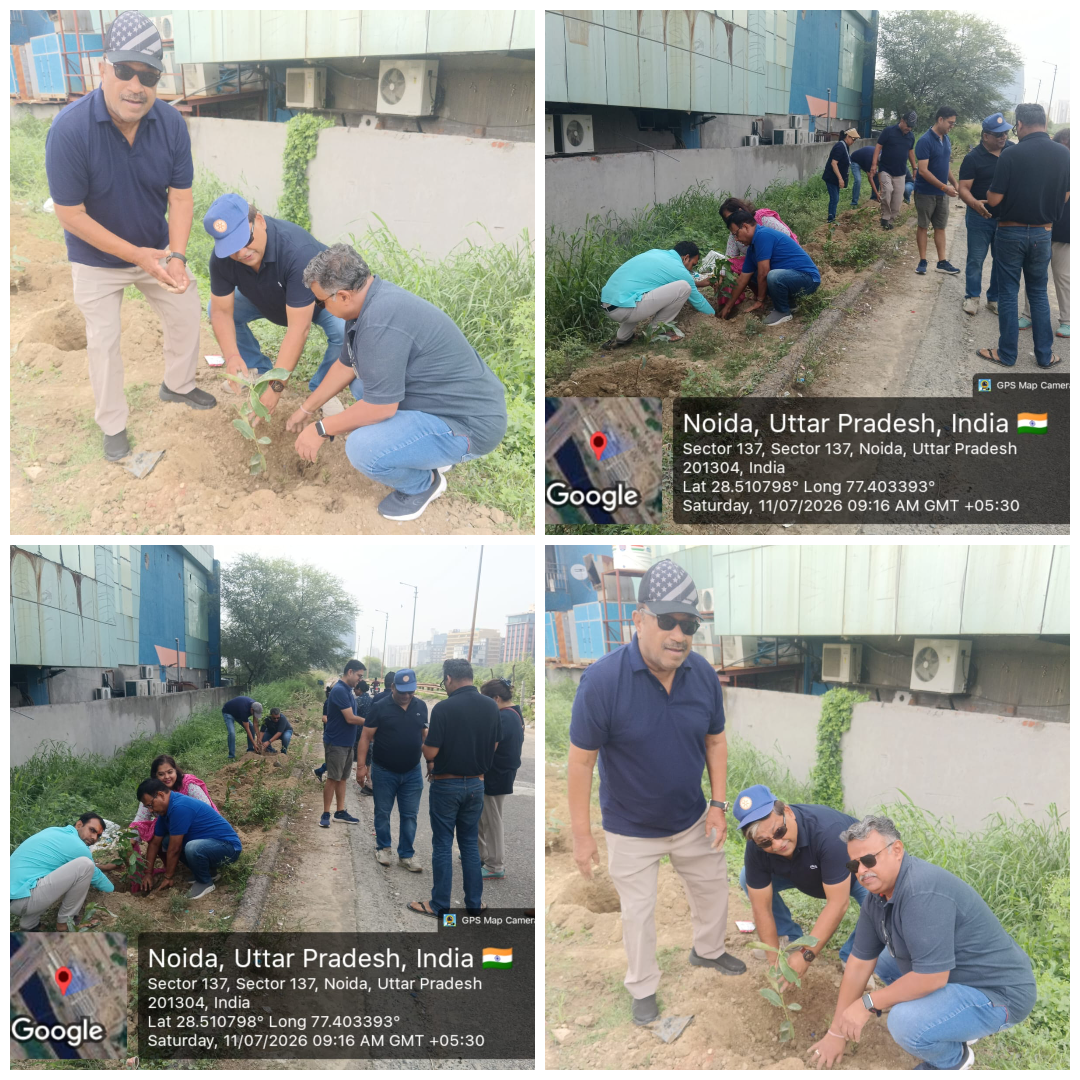 Plantation of Jamun Trees Along the Metro Road, Sector 137, Kondli Storm Water Drain