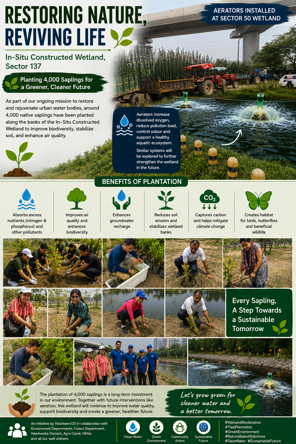 Greening the In-Situ Constructed Wetland at Sector 137: Plantation of 4,000 Saplings for Ecological Restoration